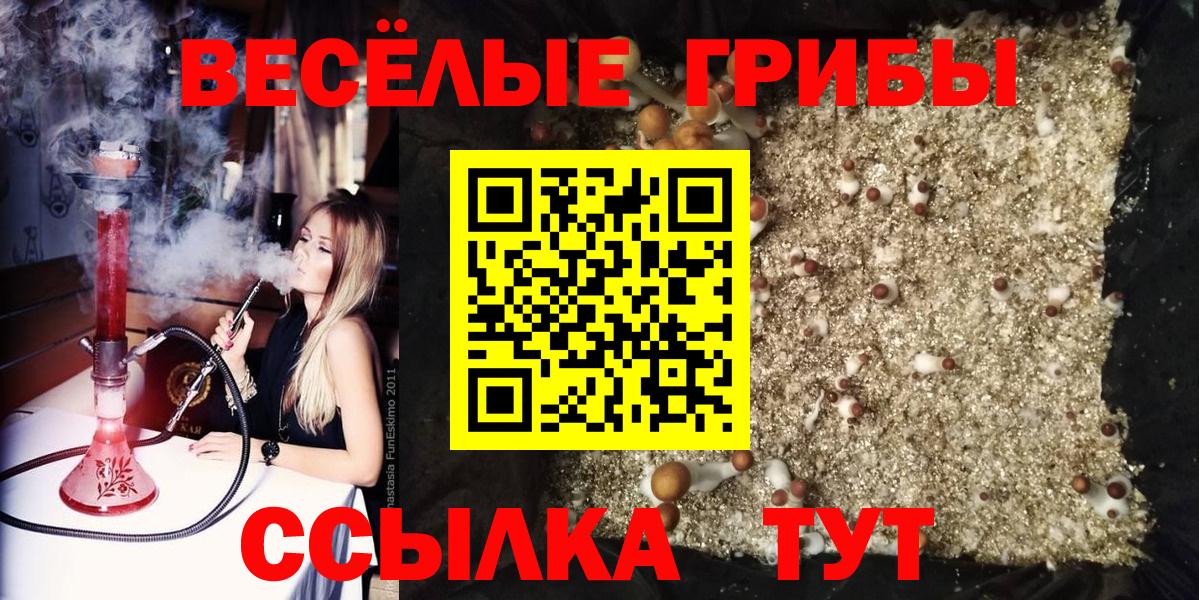 Галлюциногенные грибы Cubensis  Вход с VPN  магазин    Отрадное  Галлюциногенные грибы MAGIC MUSHROOMS 