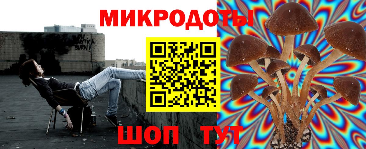 Псилоцибиновые грибы ЛСД Отрадное